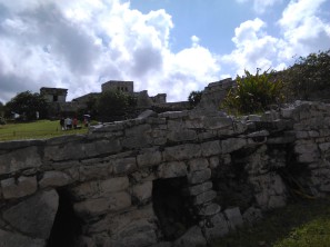 7 La iguana che controlla dal muro i templi